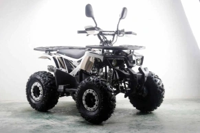 Квадроцикл MOTAX ATV Grizlik Premium 125cc