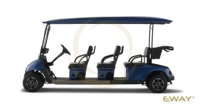 Гольф кар EWAY HM6