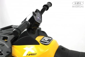 Детский электроквадроцикл Rivertoys T001TT 4WD