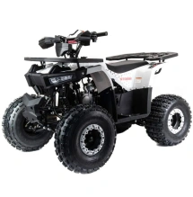 Квадроцикл Motoland 125 STORM
