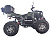 Электроквадроцикл MOTAX ATV GRIZLIK E3000 4WD - превью