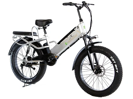 Электровелосипед E-motions Datsha Expedition