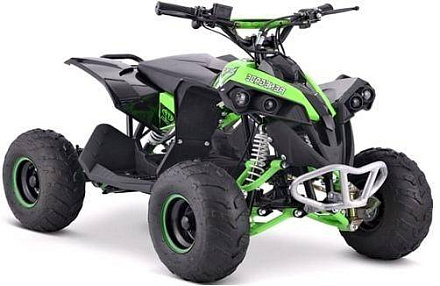 Квадроцикл YACOTA RENEGADE Mini 110