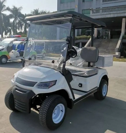 Гольфкар Green Camel A2C (2+C, 4kW AC, R10)