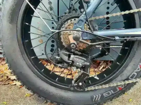Электровелосипед OxyVolt FAT 20 double 2 GW