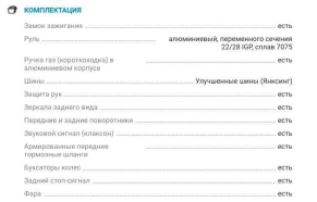 Мотоцикл AVANTIS ENDURO 300 EFI CBS EXCLUSIVE ARS (2022) ПТС