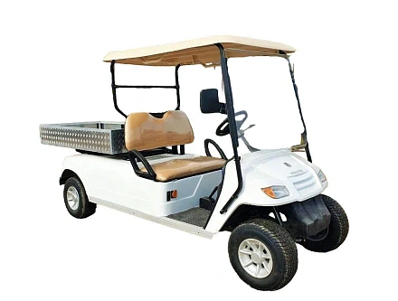 ГОЛЬФКАР Voltus GFC2