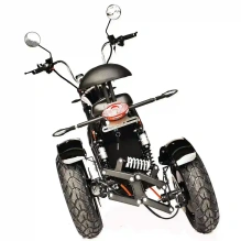 Электроскутер Skyboard CITYCOCO Chopper -4000 Harrow (Elbrus)
