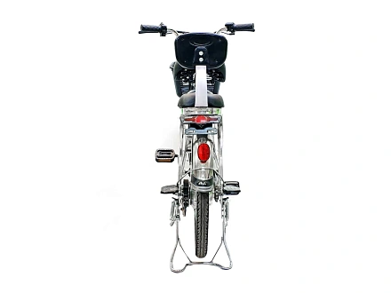 Электровелосипед Green Camel Транк-20 V2 (R20 250W) Алюм, редукторный