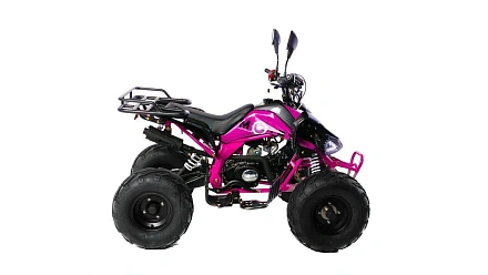Квадроцикл MOTAX ATV T-Rex Super LUX 50 сс