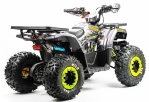 Квадроцикл Motoland 125 WILD A