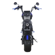 Электроскутер Skyboard BR30-2WD (Ural)