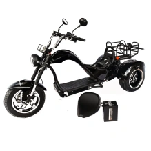 Электроскутер Skyboard CITYCOCO Dnepr Chopper 4000w