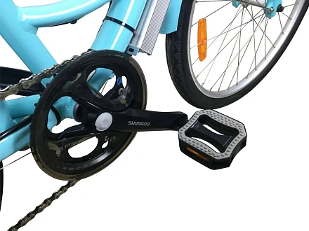 Электровелосипед Horza Schwinn Lady v1