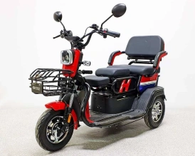 Электротрицикл Green Camel Фродо X7 (60V 500W) дифф