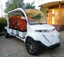 Гольфкар Elecar 5E-TIGARBO 6+2