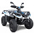 Электроквадроцикл Green Camel Linhai LH40DA (3900W 50 км/ч) - превью