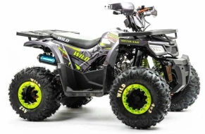 Квадроцикл Motoland 125 WILD (2020 г.)