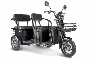 Трицикл Rutrike Экипаж пассажирский