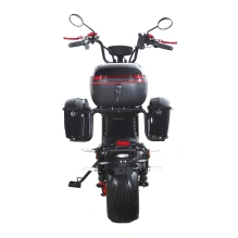 Электроскутер SKYBOARD CITYCOCO FAR EAST 5000
