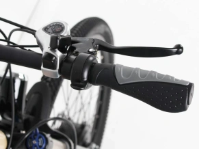 Электровелосипед OxyVolt X-Fold Double 2
