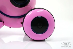 Детский электромотоцикл Rivertoys Moto HL300