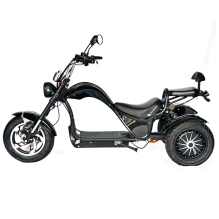 Электроскутер Skyboard CITYCOCO Chopper -4000 Harrow (Elbrus)