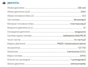 Мотоцикл Avantis MT250 (PR250/172FMM) 2022 ПТС