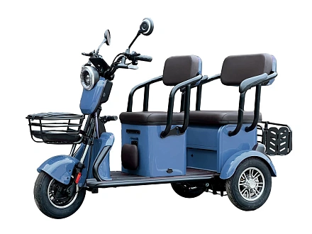 Электротрицикл Green Camel Пони Z8