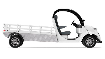 Электромобиль грузовой Elecargo 5E-TIGARBO B1