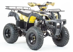 Квадроцикл Motoland 250 ADVENTURE