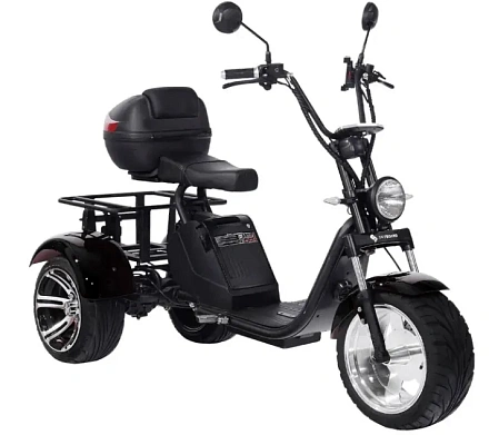 Электроскутер SKYBOARD CITYCOCO TRIKE BR80