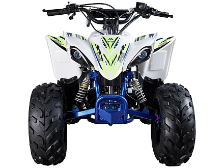 Квадроцикл Mikilon Rapide 110 (без АКБ)