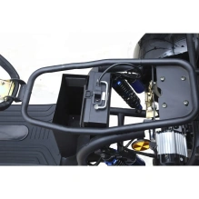 Электроскутер SKYBOARD CITYCOCO MyRussia BR60 3000W с корзиной