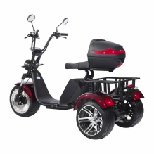 Электроскутер SKYBOARD CITYCOCO TRIKE BR80