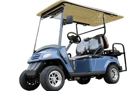 ГОЛЬФКАР Voltus GF2+2