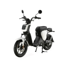 Электроскутер Skyboard Sevastopol 1800W