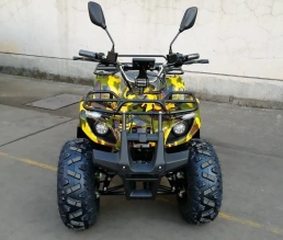 Электроквадроцикл Green Camel Атакама T320 (48V 1000W R8 Дифференциал)