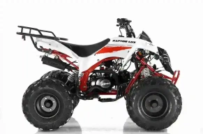 Квадроцикл MOTAX ATV Raptor LUX 125 сс