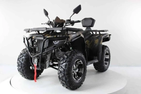 Квадроцикл Motax Grizlik 300