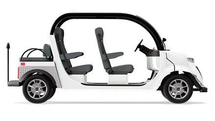 Гольфкар Elecar 5E-TIGARBO 4+2