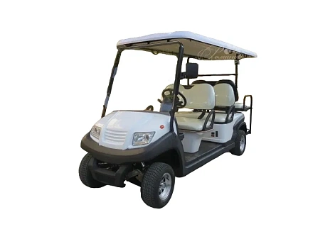 ГОЛЬФКАР Voltus CLUB 4+2