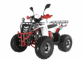 Квадроцикл Wels Thunder EVO X
