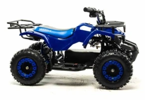 Электроквадроцикл Motoland ATV E008 800Вт