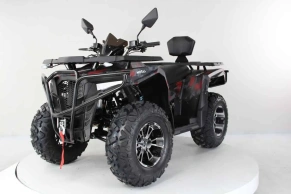 Квадроцикл Motax Grizlik 300