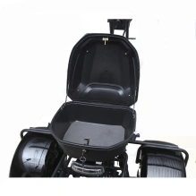 Электроскутер SKYBOARD CITYCOCO MyRussia BR60 3000W с корзиной