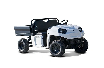 Электромобиль GEM eM 1400