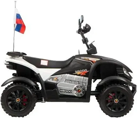 Детский электроквадроцикл Rivertoys P333PP