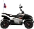 Детский электроквадроцикл Rivertoys P333PP - превью