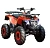 Квадроцикл WELS THUNDER AX 125 PRO - превью